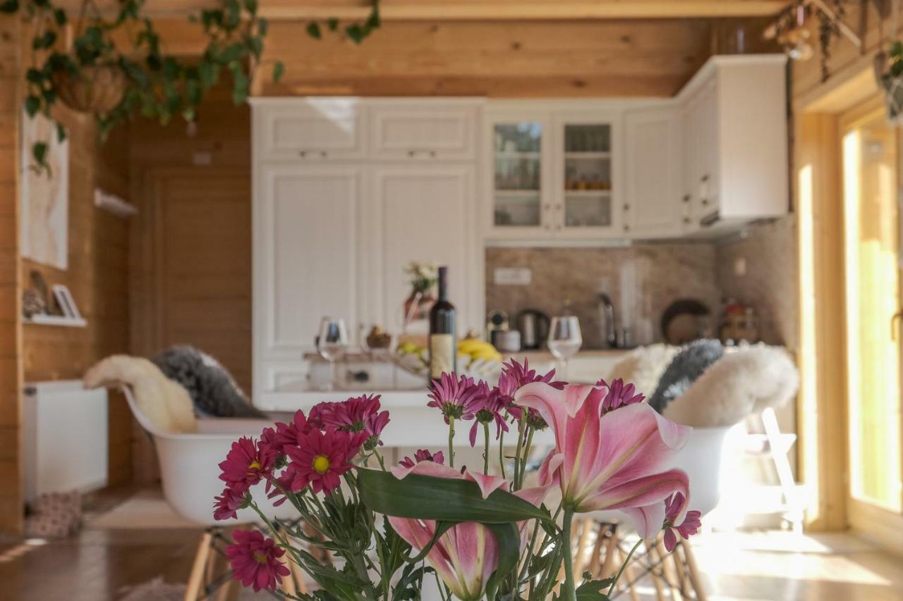Chalet Kolasin Montenegro Extérieur photo